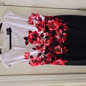 STUDIO CONNECTION BRAND WOMENS PLUS SLEEVELESS BLACK & RED FLORAL DRESS SIZE 14